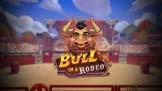 Bull in a Rodeo