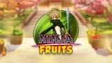 Ninja Fruits