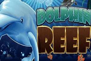 Dolphin Reef